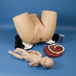 Brthing mother with stand, baby for force monitoring, placenta and umbilical cord